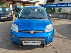 Blau Neu 2024 Fiat Panda Cross Cross Kleinwagen | 15.950 €