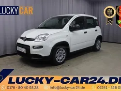 Andere Neu 2024 Fiat Panda Kleinwagen | 14.229 €