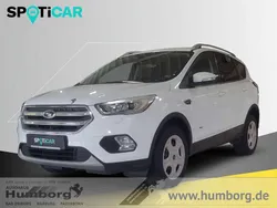 Weiss Gebraucht 2019 Ford Kuga Cool & Connect SUV | 16.980 € (Fairer Preis)