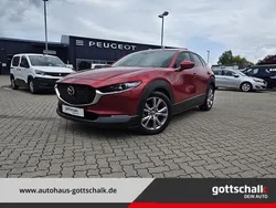 Soul red crystal (rot) Gebraucht 2021 Mazda CX-30 Selection SUV | 23.990 € (Fairer Preis)