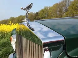 Grün Gebraucht 1967 Rolls Royce Silver Shadow Limousine | 50.000 €