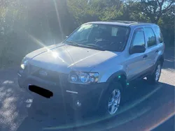 Grau Gebraucht 2007 Ford Maverick SUV | 3.800 € (Fairer Preis)