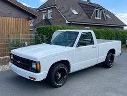 Weiß Gebraucht 1991 Chevrolet S10 SUV | 8.450 €