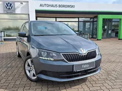 Grau Gebraucht 2014 Skoda Fabia Ambition Kleinwagen | 5.250 € (Etwas zu teuer)