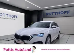 Weiss Gebraucht 2023 Skoda Octavia Style Kombi | 23.443 € (Guter Preis)
