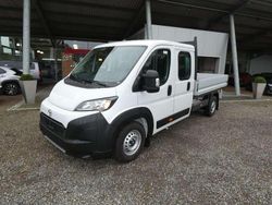 Icy white Neu 2025 Toyota Proace Van | 35.500 € (Fairer Preis)