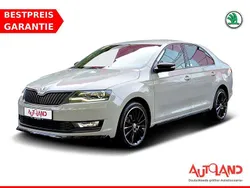 Grau Gebraucht 2019 Skoda Rapid Monte Carlo Limousine | 14.990 € (Teuer)