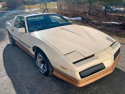 Beige Gebraucht 1984 Pontiac Firebird Coupé | 14.900 €