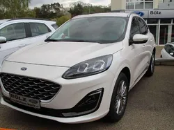Arktis weiß metallic Gebraucht 2024 Ford Kuga Vignale SUV | 31.990 € (Teuer)