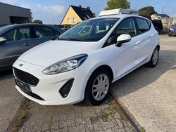 Weiß Gebraucht 2017 Ford Fiesta Trend Kleinwagen | 7.499 € (Guter Preis)