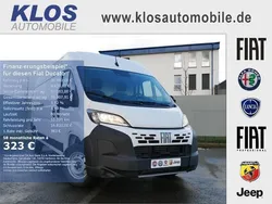 Weiss Neu 2025 Fiat Ducato Van | 36.990 € (Teuer)