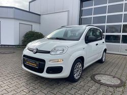 Weiß Gebraucht 2014 Fiat Panda Kleinwagen | 6.499 € (Fairer Preis)