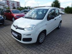 Weiß Gebraucht 2018 Fiat Panda Easy Kleinwagen | 6.990 € (Fairer Preis)
