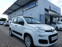 Weiß Gebraucht 2020 Fiat Panda Easy Kleinwagen | 8.790 € (Fairer Preis)