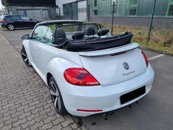 VW Maggiolino