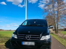 Mercedes Viano