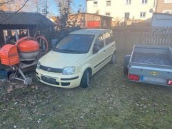 Gelb Gebraucht 2012 Fiat Panda Kleinwagen | 3.900 € (Guter Preis)