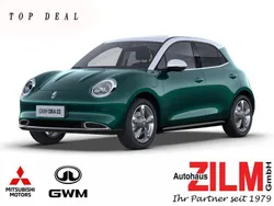 Grün Neu 2025 Ora 03 Limousine | 29.990 € (Fairer Preis)