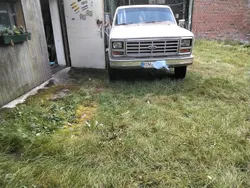 Beige Gebraucht 1984 Ford F250 Abholung | 14.800 €