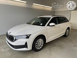 Neu 2025 Skoda Octavia Essence Kombi | 31.161 € (Guter Preis)