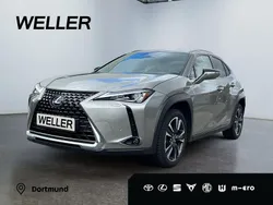 Titaniumsilber Gebraucht 2022 Lexus UX 250h SUV | 26.740 € (Guter Preis)