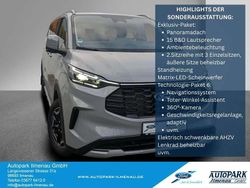 Grau Gebraucht 2025 Ford Tourneo Active Van / Kleinbus | 62.990 €