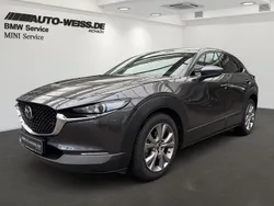 Grau Gebraucht 2021 Mazda CX-30 Basis SUV | 17.900 € (Superpreis)