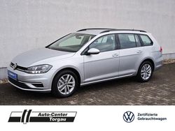 Silber Gebraucht 2020 VW Golf VII Comfortline Kombi | 14.479 € (Guter Preis)