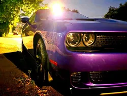 Violet Gebraucht 2019 Dodge Challenger SXT Coupé | 22.500 € (Guter Preis)