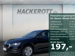 Schwarz Gebraucht 2024 Skoda Octavia Ambition Kombi | 31.960 € (Fairer Preis)
