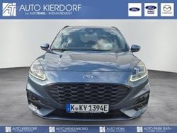 Blau Gebraucht 2024 Ford Kuga ST-Line X SUV | 27.990 € (Superpreis)