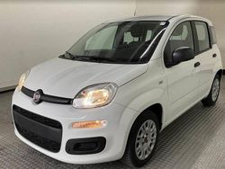 Weiß Gebraucht 2019 Fiat Panda Easy Kleinwagen | 7.900 € (Guter Preis)