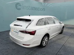 Weiß Gebraucht 2021 Skoda Octavia First Edition Kombi | 21.950 € (Etwas zu teuer)