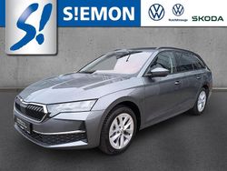 Grau Gebraucht 2024 Skoda Octavia Selection Kombi | 31.930 € (Guter Preis)