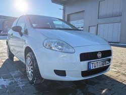 Weiß Gebraucht 2011 Fiat Punto Pop Kleinwagen | 1.999 € (Fairer Preis)