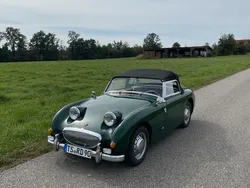 Austin Healey Sprite