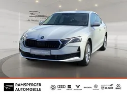 Weiß (moonweiß perleffekt) Neu 2025 Skoda Octavia Selection Limousine | 30.490 € (Guter Preis)