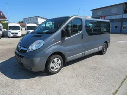 Grau Gebraucht 2012 Opel Vivaro Van | 11.900 € (Teuer)