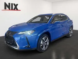 Arktikblau Neu 2024 Lexus UX 300e Luxury Line SUV | 44.900 € (Fairer Preis)