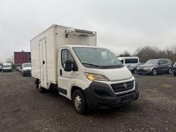 Weiss Gebraucht 2019 Fiat Ducato Van | 13.566 € (Superpreis)
