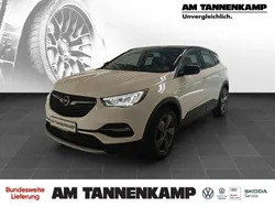 Weiß Gebraucht 2021 Opel Grandland X Elegance SUV | 18.590 € (Fairer Preis)