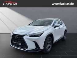 Titaniumweiß Neu 2025 Lexus NX350h Executive Line SUV | 50.950 € (Guter Preis)