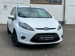 Frozen white Gebraucht 2011 Ford Fiesta Trend Kleinwagen | 3.500 € (Fairer Preis)