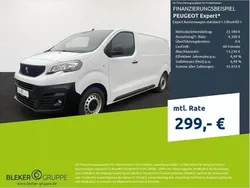 Kaolinweiß Gebraucht 2023 Peugeot Expert Van | 28.980 € (Etwas zu teuer)