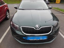 Grün Gebraucht 2014 Skoda Octavia Elegance Kombi | 11.500 € (Guter Preis)
