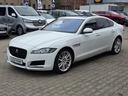 Weiß Gebraucht 2017 Jaguar XF Limousine | 17.890 €