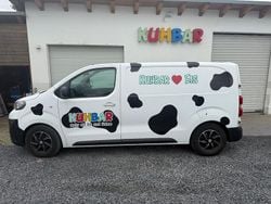 Weiß Gebraucht 2019 Peugeot Expert Van | 18.500 € (Etwas zu teuer)