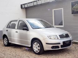 Diamantsilber met. Gebraucht 2006 Skoda Fabia Cool Edition Kleinwagen | 2.700 € (Teuer)