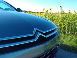 Grau Gebraucht 2008 Citroën C6 Exclusive Limousine | 7.500 €
