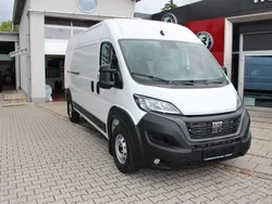 Weiß Neu 2024 Fiat Ducato Van | 31.700 € (Guter Preis)